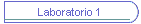 Laboratorio 1